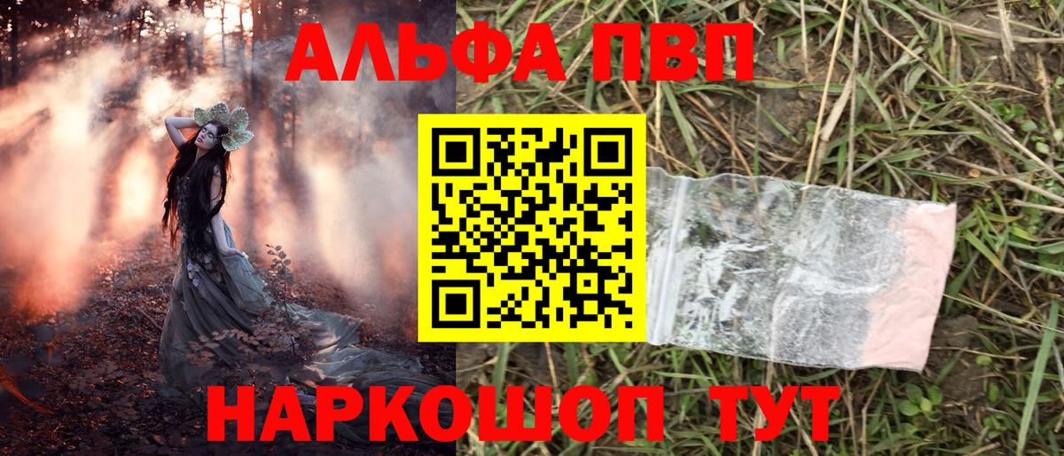 Альфа ПВП СК Кириши