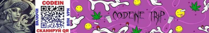 купить наркотики сайты  Кириши  mega сайт  Кодеиновый сироп Lean Purple Drank 