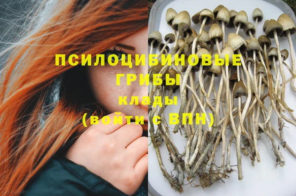 амф Алзамай