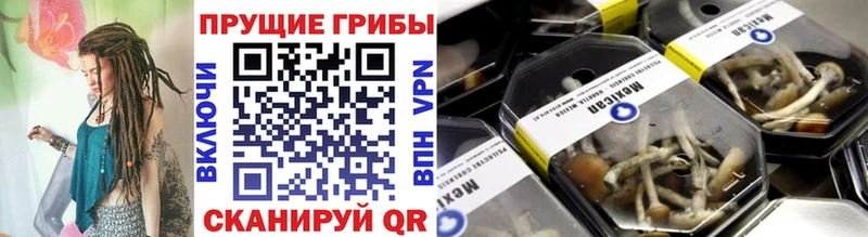 Галлюциногенные грибы мухоморы  где купить наркоту  Кириши 